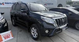 SEMIFRONTAL_miauto